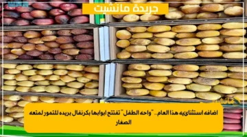 إضافة استثنائية هذا العام.. واحة الطفل تفتتح أبوابها بكرنفال بريدة للتمور لمتعة الصغار 1